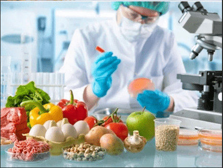 Food Safety and Quality