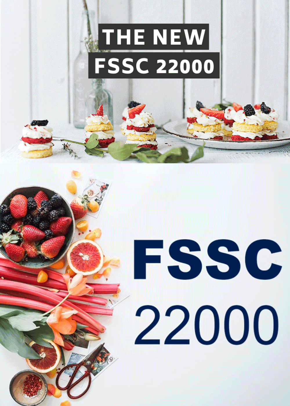 FSSC 22000 Internal auditor